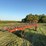 9-wheel-hay-rake-image-1