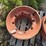 #3850-•-(2)-fendt-rear-wheel-weights-image-3