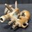 brass-milking-machine-claw-image-3