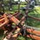 37’-wil-rich-chisel-plow-w/-complete-walking-tandems-and-3-bar-summers-harrow-￼-image-17