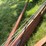 37’-wil-rich-chisel-plow-w/-complete-walking-tandems-and-3-bar-summers-harrow-￼-image-14
