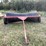 harmon,-canola-roller-image-2