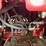#1015-•-unused-future-ft323w-mini-skid-steer-image-30