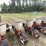 lilliston-8-row-planter-with-fiberglass-boxes,-been-sitting,-some-rust,-boxes-turn-free,-discs-need-loosened-up-image-5