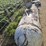 #3859-•-500-gallon-tank-image-9
