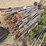 #3920-•-(156)-steel-fence-posts-image-6