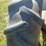 ford-2n-image-42