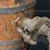iron-banded-wood-whiskey/molasses-barrel-dispenser-w-spigot-crank-tap-image-16