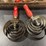 vintage-grooming-tools-for-livestock-image-9