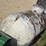 #3859-•-500-gallon-tank-image-10