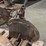 various-cast-iron-parts-mounted-to-wood-image-20