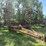 37’-wil-rich-chisel-plow-w/-complete-walking-tandems-and-3-bar-summers-harrow-￼-image-4