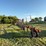 9-wheel-hay-rake-image-4