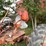 allis-chalmers-c-image-15