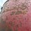 new-holland-354-image-9