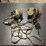 all-for-sewing.three-machines-image-9