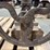 cider-press-image-5