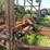 37’-wil-rich-chisel-plow-w/-complete-walking-tandems-and-3-bar-summers-harrow-￼-image-16