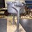 maxwell-company-miami-florida-heavy-duty-citrus-juicer-image-9