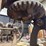 cider-press-image-9
