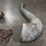group-of-horse-and-farm-items-image-7