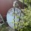 2000-gallon-diesel-fuel-tank-with-pump-image-1