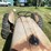 ford-2n-image-13