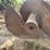#3855-•-john-deere-9860-unload-auger-image-7