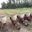 lilliston-8-row-planter-with-fiberglass-boxes,-been-sitting,-some-rust,-boxes-turn-free,-discs-need-loosened-up-image-6