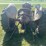 ford-2n-image-5