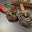 vintage-grooming-tools-for-livestock-image-7