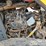2021-wacker-neuson-rc50-image-19
