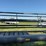 25’-premier-swather,-finger-reel-image-13