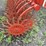 yetter-3415-image-4