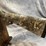#4622-•-winchester-sxp-12-ga.-pump-action-shotgun,-sn:-tr6022-182882sp-image-13
