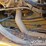 2019-caterpillar-336-image-59