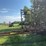 37’-wil-rich-chisel-plow-w/-complete-walking-tandems-and-3-bar-summers-harrow-￼-image-7