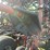 case-ih-8500-image-37