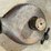 blacksmith-forge-blowers,-forge,-&-branding-iron-free-air-image-20