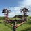 45’-wil-rich-field-cultivator-with-complete-walking-tandems-and-harrows-image-3