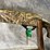#4620-•-stoeger-m3500-12-ga.-semi-auto-shotgun,-sn:-75-h22yt-023874-image-18