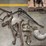 group-of-horse-and-farm-items-image-1