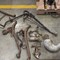 unique-farm-antiques-and-equipment-collection-image-4