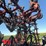 case-ih-8500-image-20