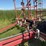 45’-wil-rich-field-cultivator-with-complete-walking-tandems-and-harrows-image-19