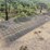 #3923-•-cattle-panels-image-4