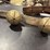brass-sleigh-bells-on-leather-strap-image-5