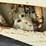 ingersoll-rand-sd77f-image-21