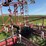 45’-wil-rich-field-cultivator-with-complete-walking-tandems-and-harrows-image-17