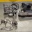 all-for-sewing.three-machines-image-1